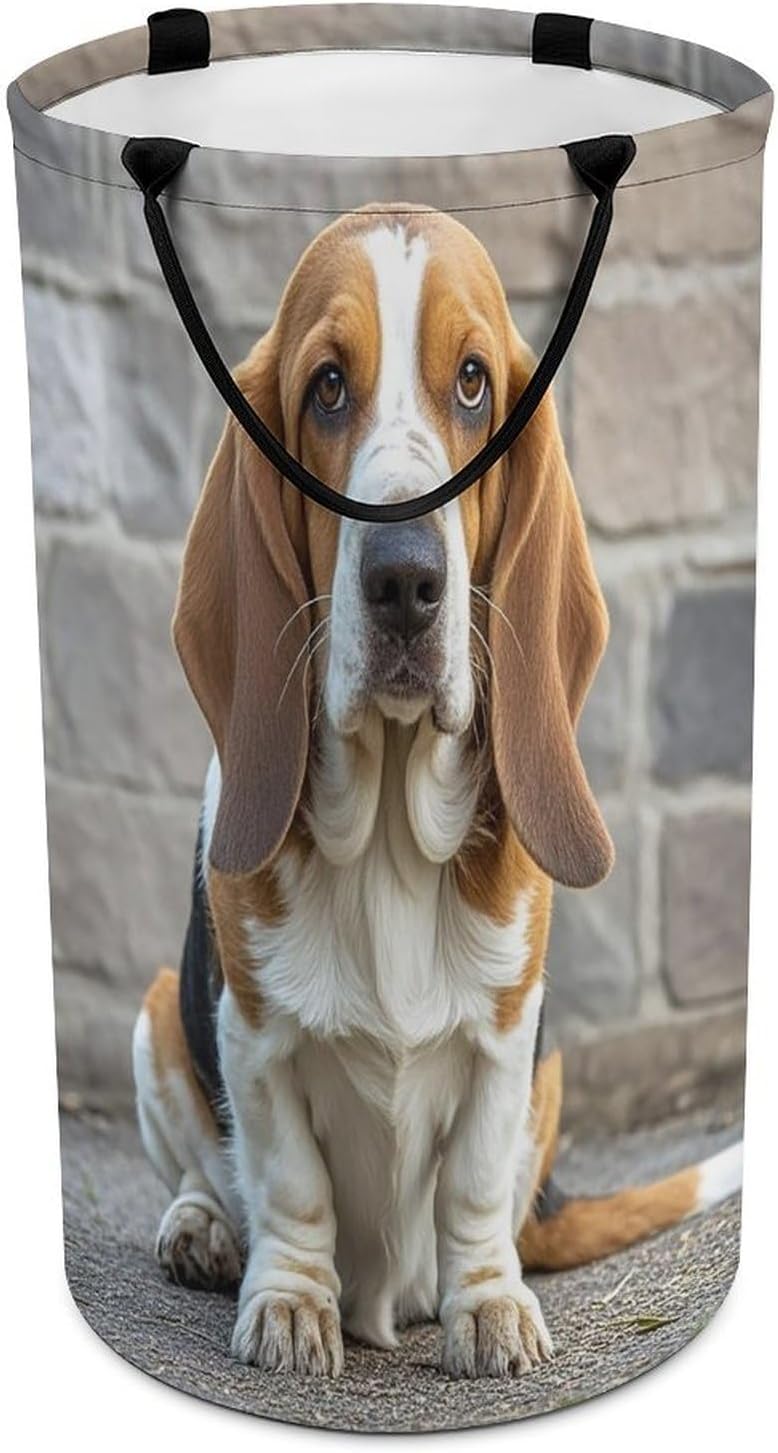 Variuable Waterproof Collapsible Basset Hound Basket for Space-Saving Storage