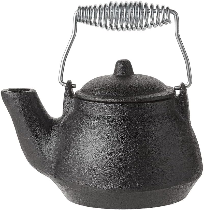 Measures Success - Compact Tea Kettle with Silver Handle