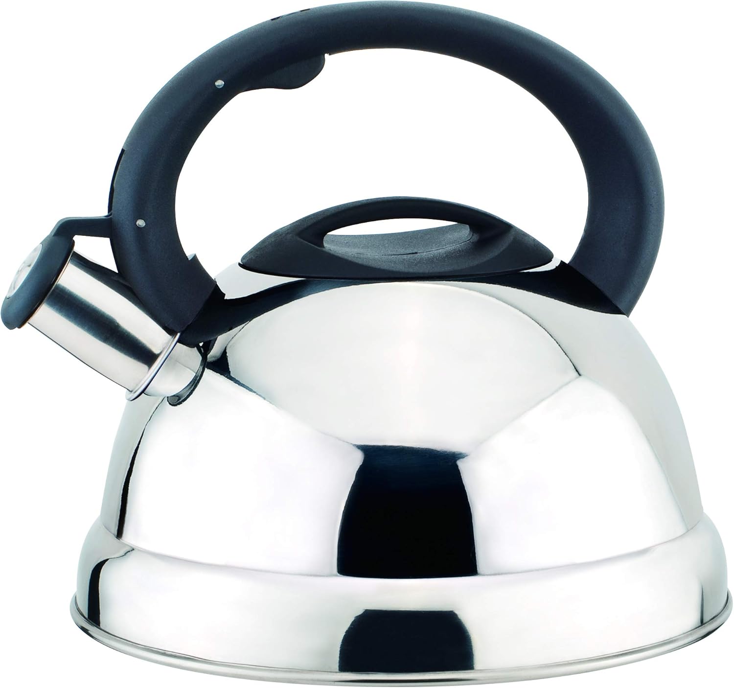 Durable stainless steel stovetop tea kettle with nylon handle