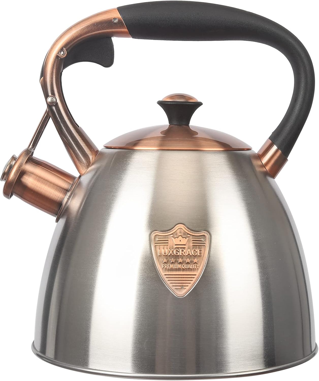 Stainless Steel Tea Kettle 29 Quart