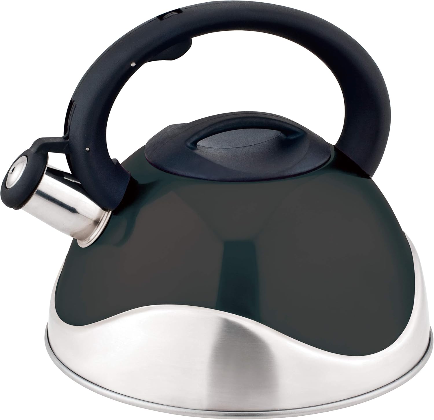 Stainless Steel Whistling Tea Kettle