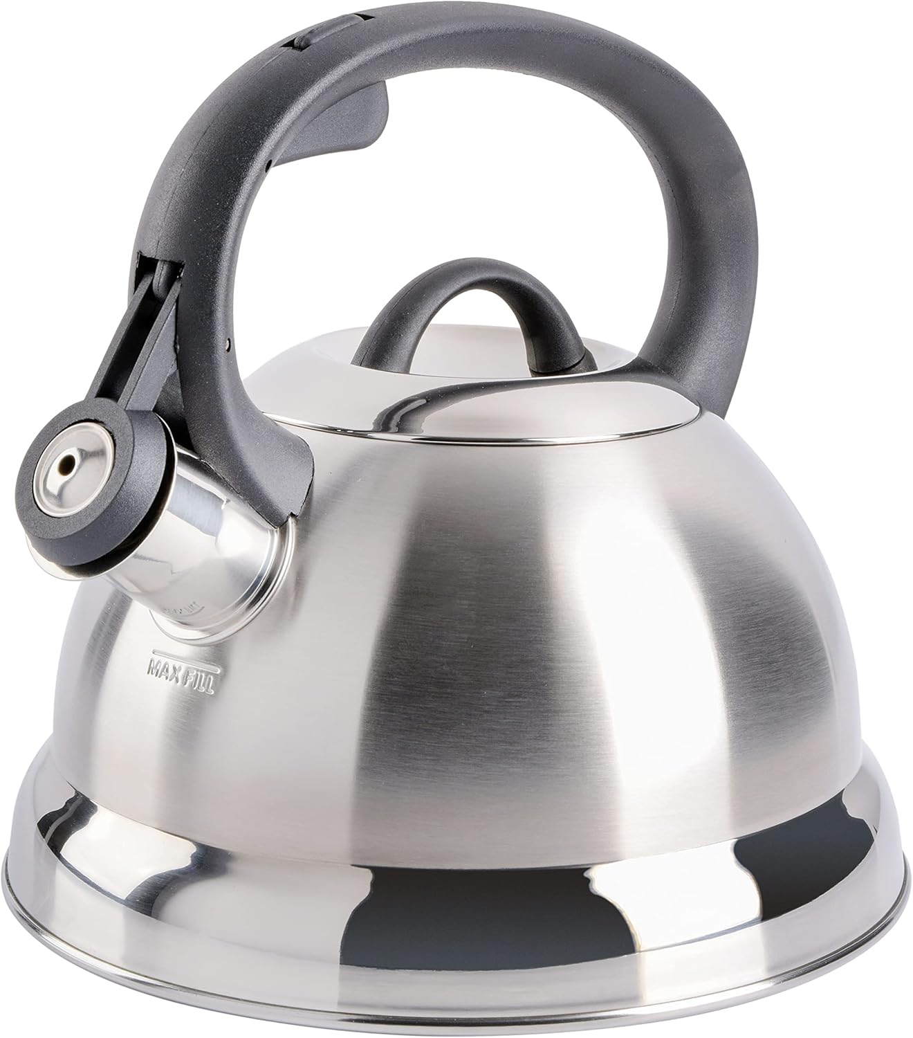 Perfect 175-Quart Stainless Steel Tea Kettle by Mr Coffee