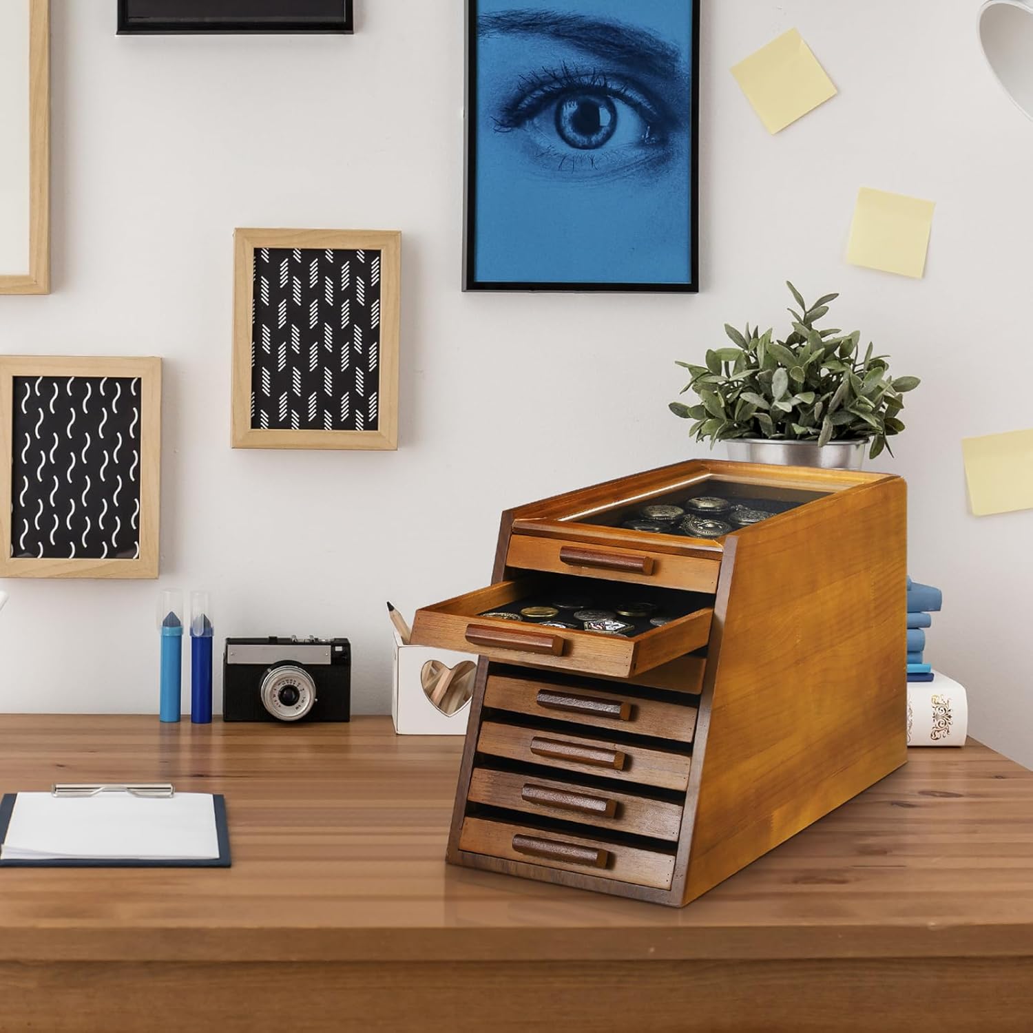 Elegant Display Case for Collectors