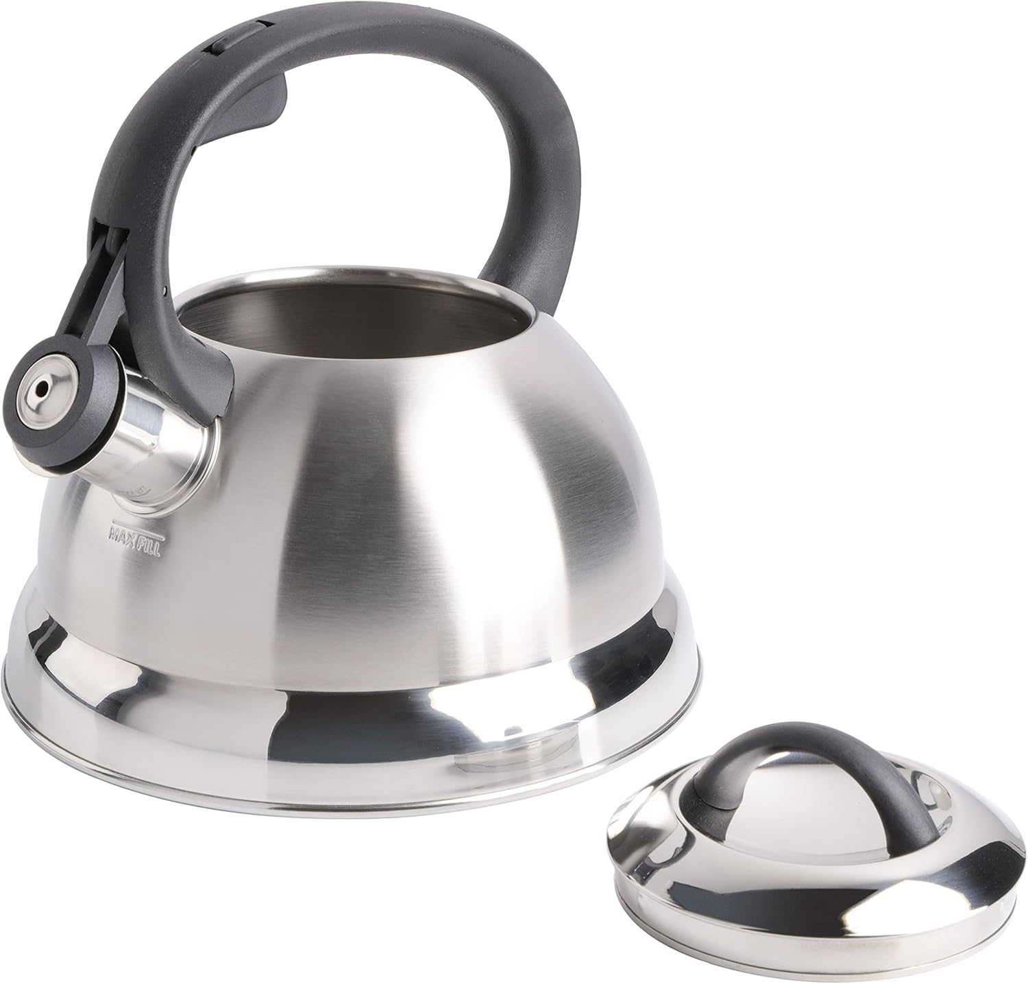 Perfect 175-Quart Stainless Steel Tea Kettle by Mr Coffee