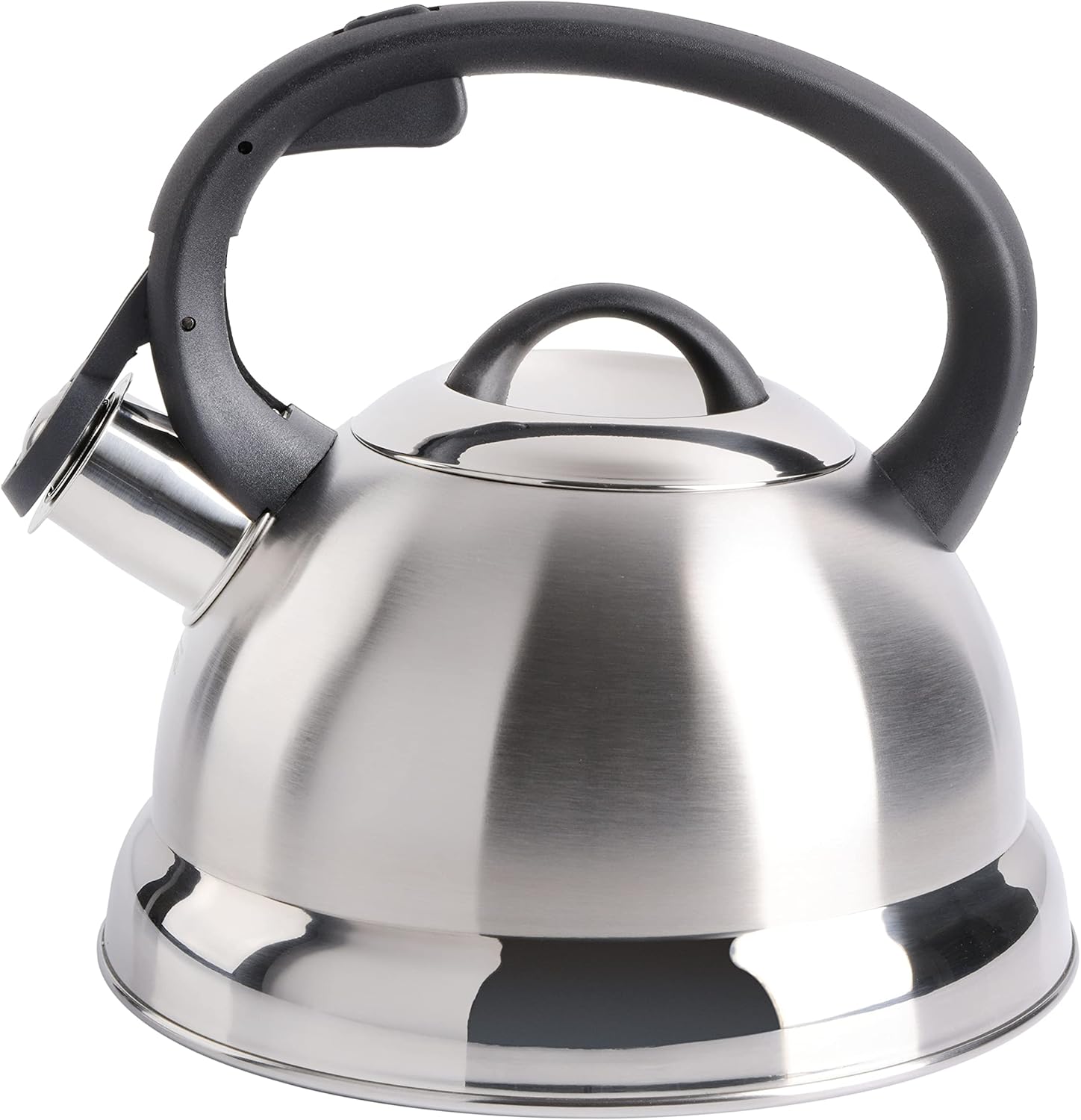 Perfect 175-Quart Stainless Steel Tea Kettle by Mr Coffee