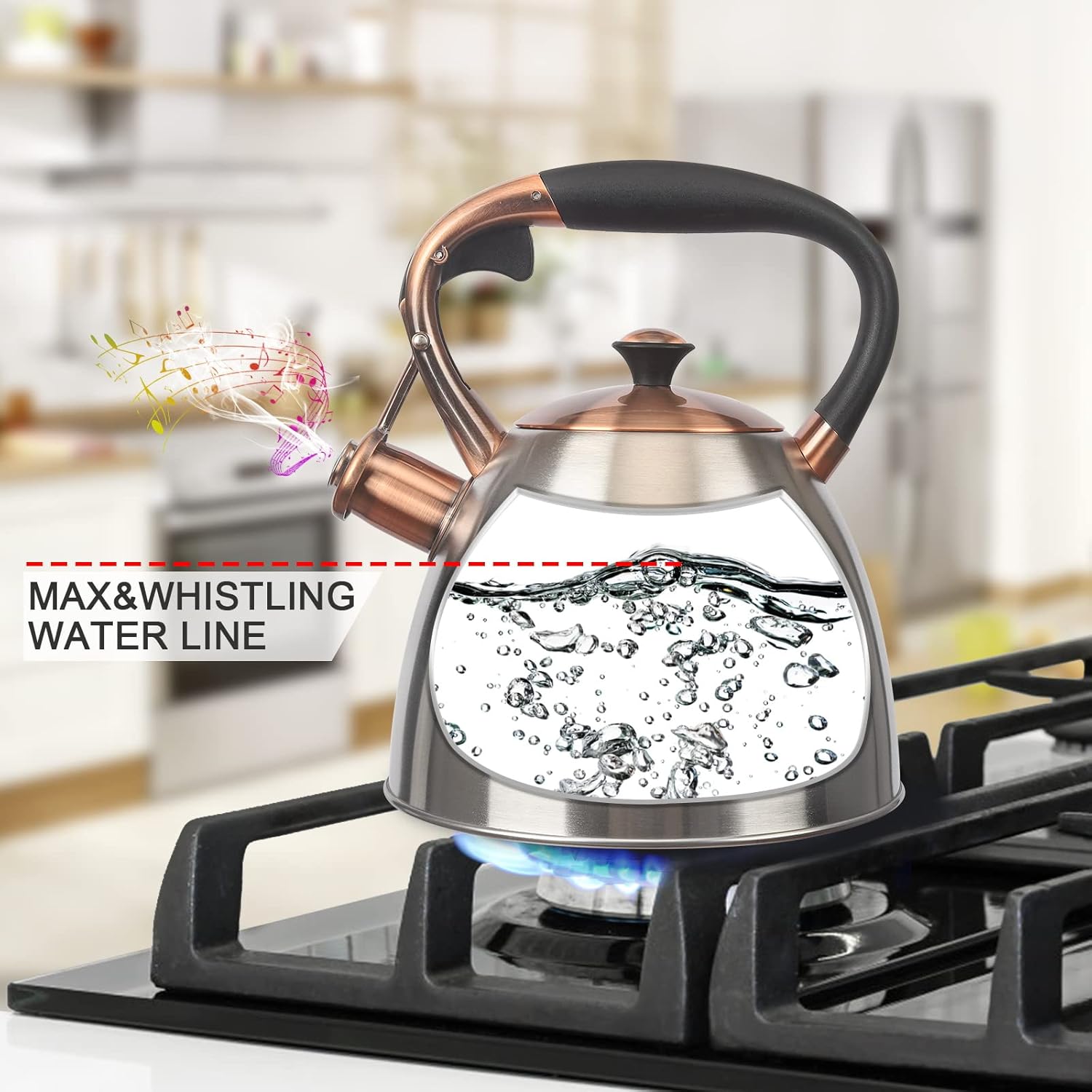 Stainless Steel Tea Kettle 29 Quart