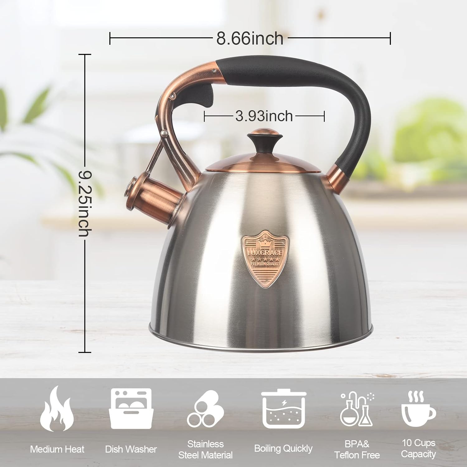 Stainless Steel Tea Kettle 29 Quart