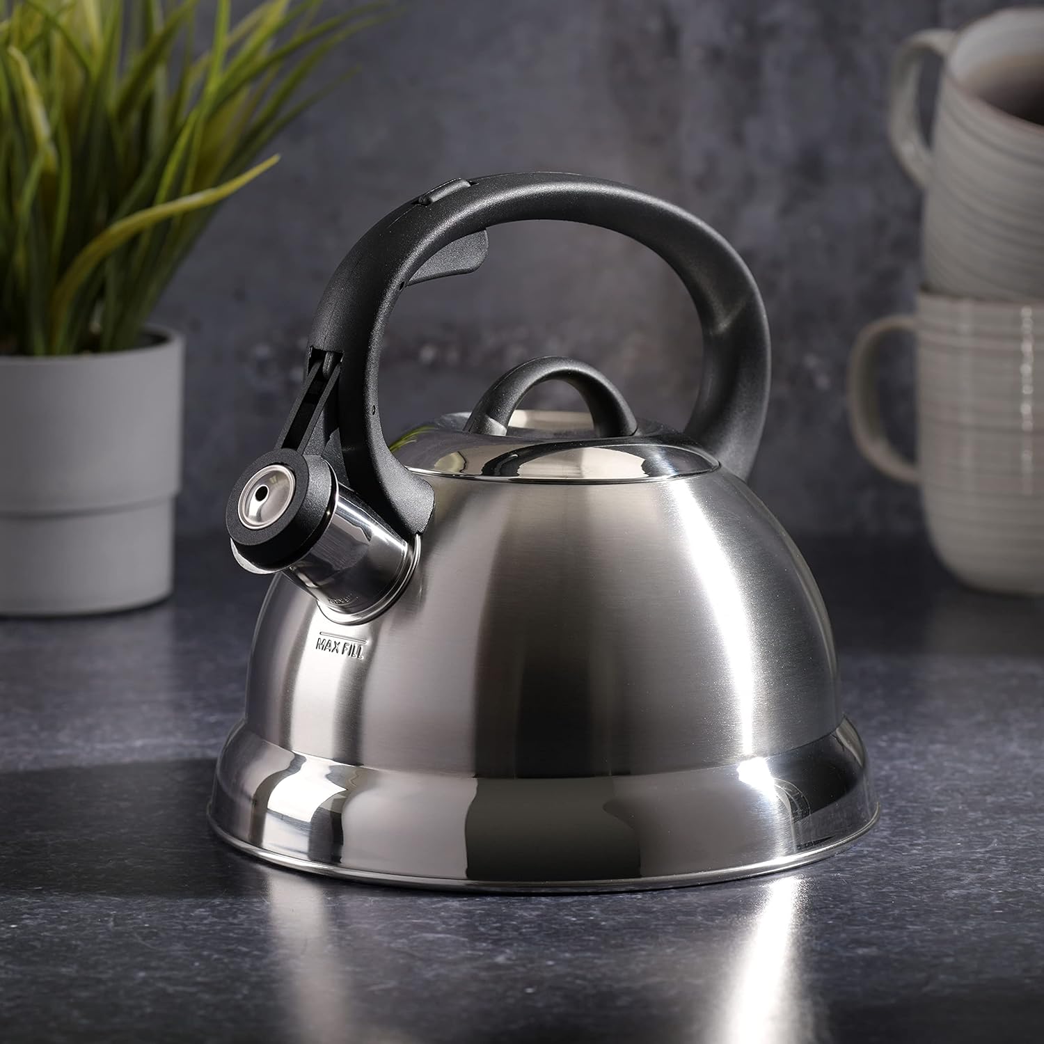 Perfect 175-Quart Stainless Steel Tea Kettle by Mr Coffee