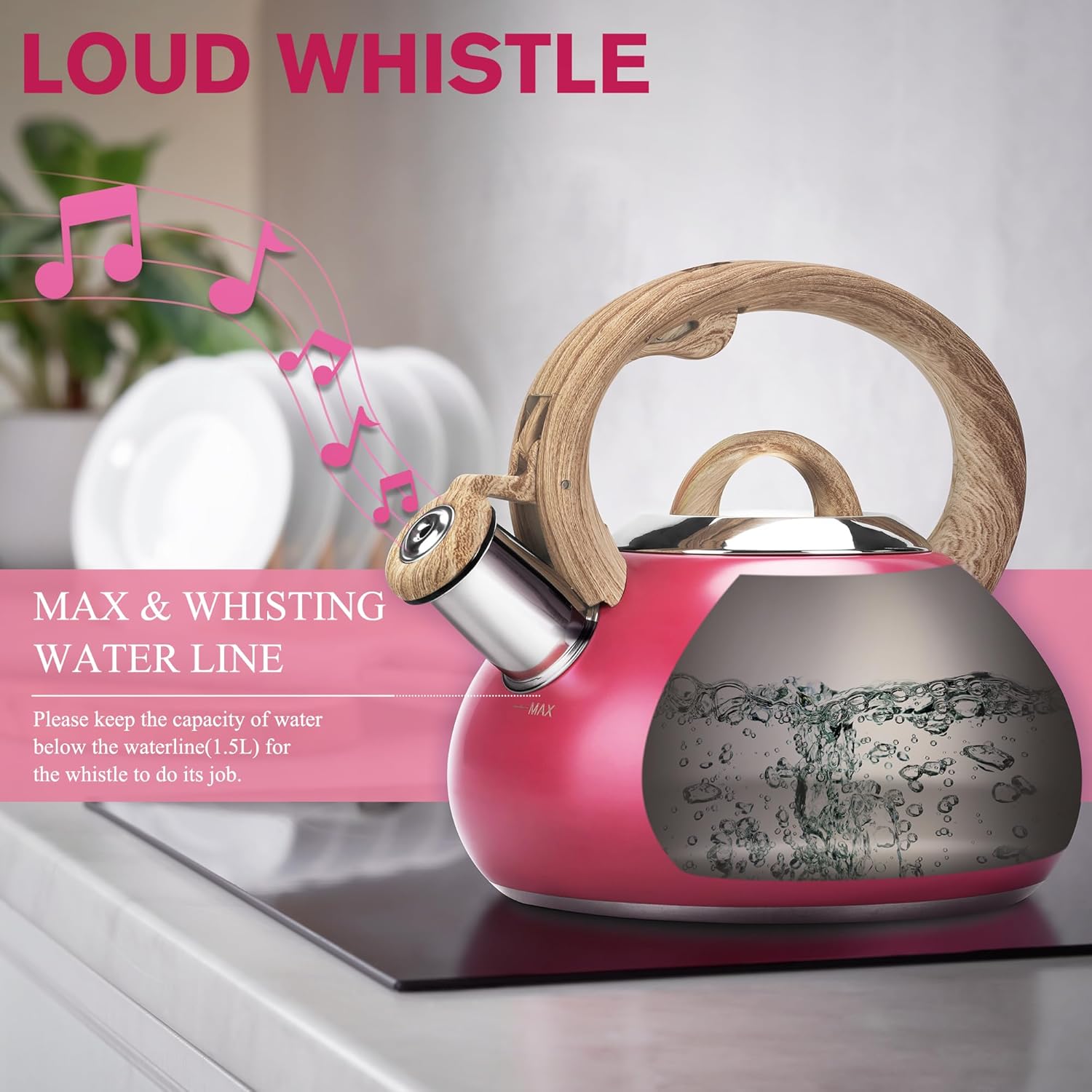 Hauce Radio Tea Kettle