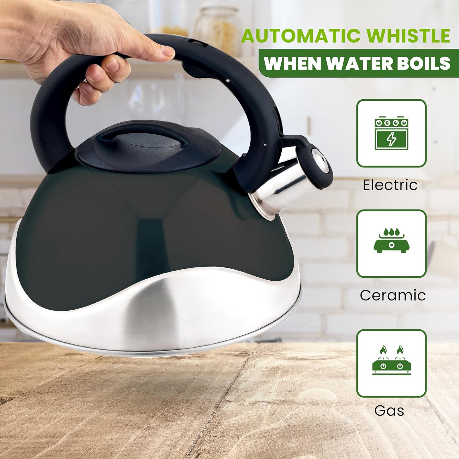 Stainless Steel Whistling Tea Kettle