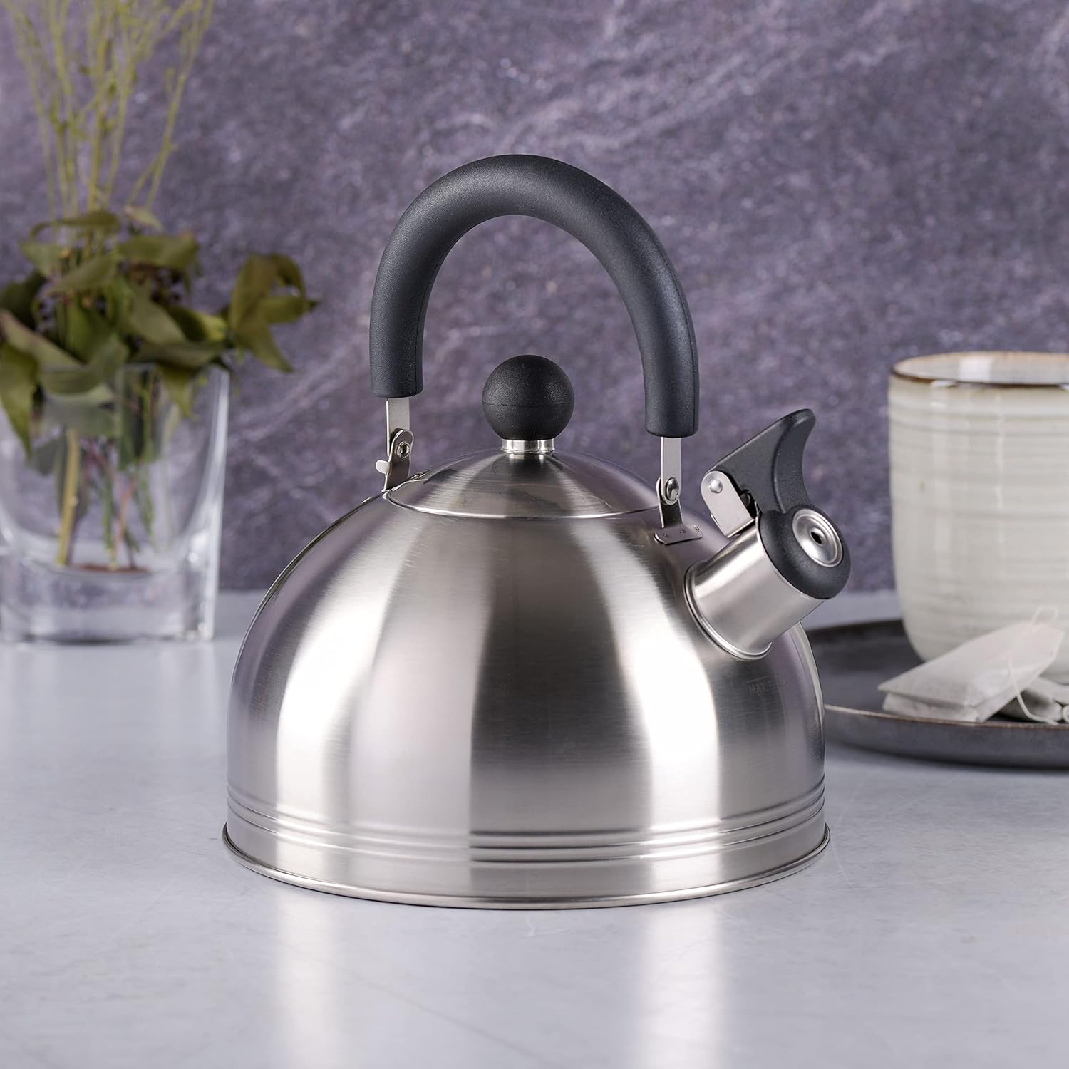 Mr Coffee Carterton Whistling Tea Kettle 15 Quart Mirror Polish