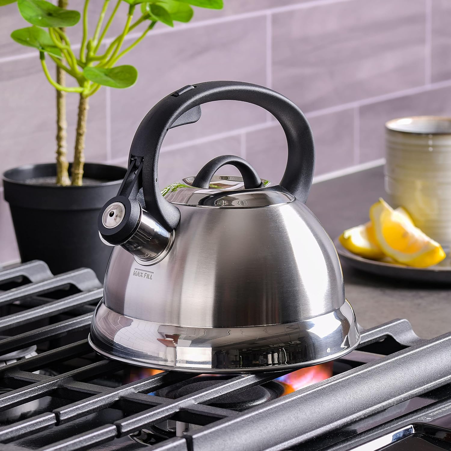 Perfect 175-Quart Stainless Steel Tea Kettle by Mr Coffee