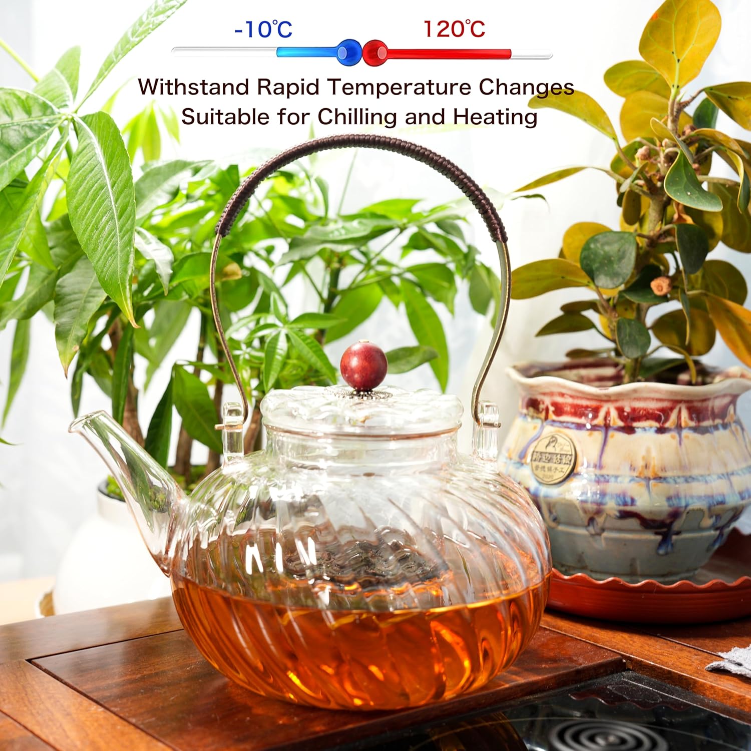 WlasssCompact Glass Teapot with Removable Infuser Durable Safe for Home Kitchen